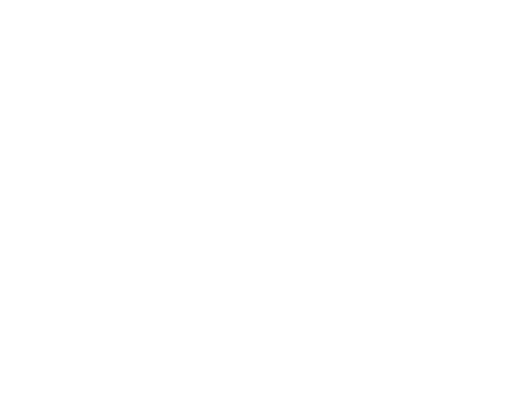 LOGO VARGASANT